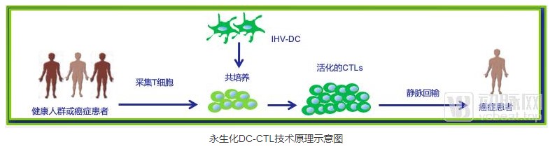 癌症的免疫细胞治疗