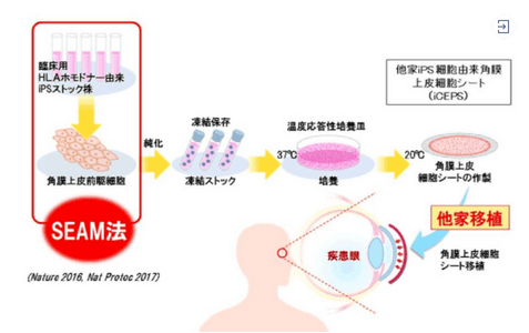 北联世纪采用iPS细胞技术个体化定向分化自身所需细胞