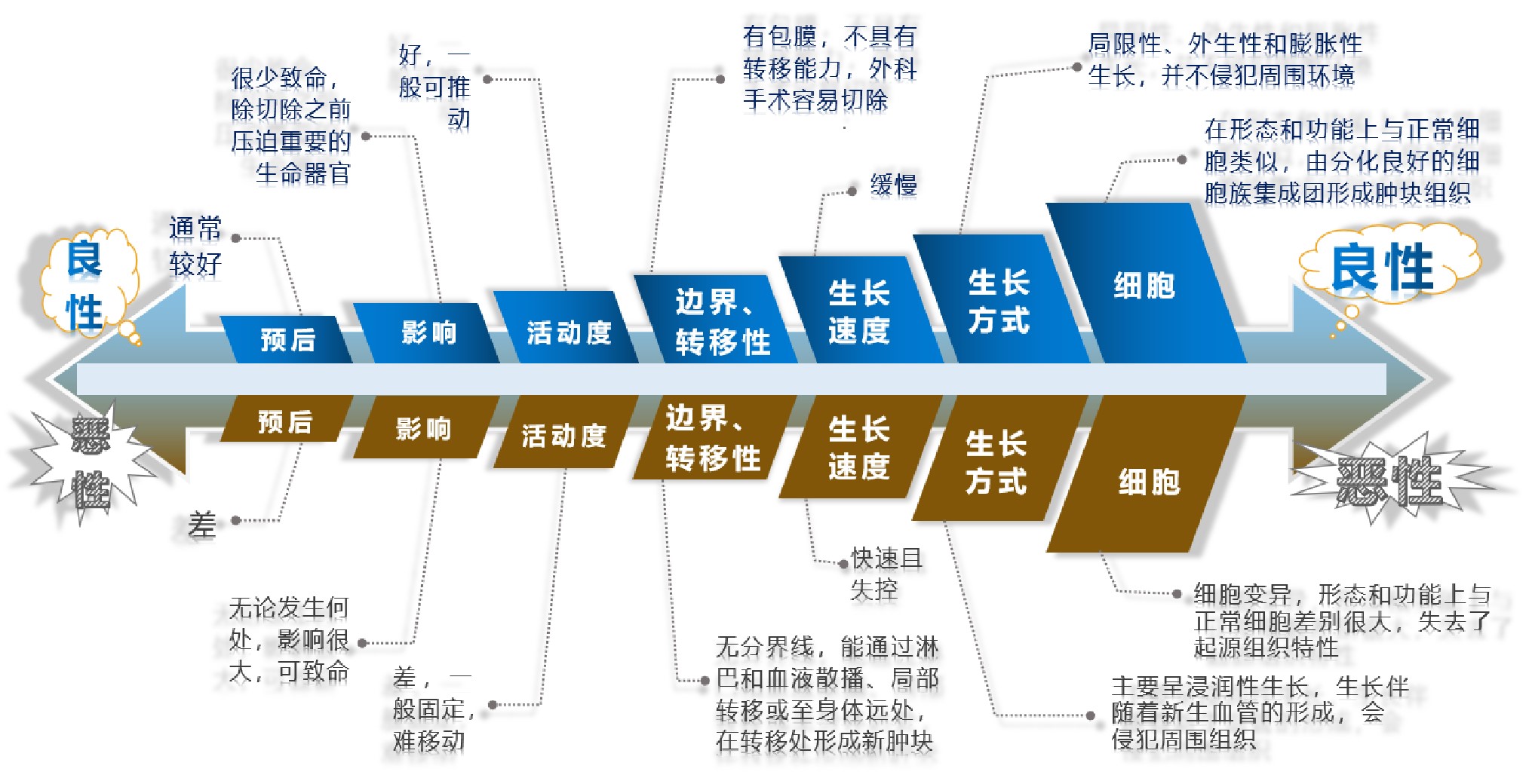 癌症的免疫细胞治疗