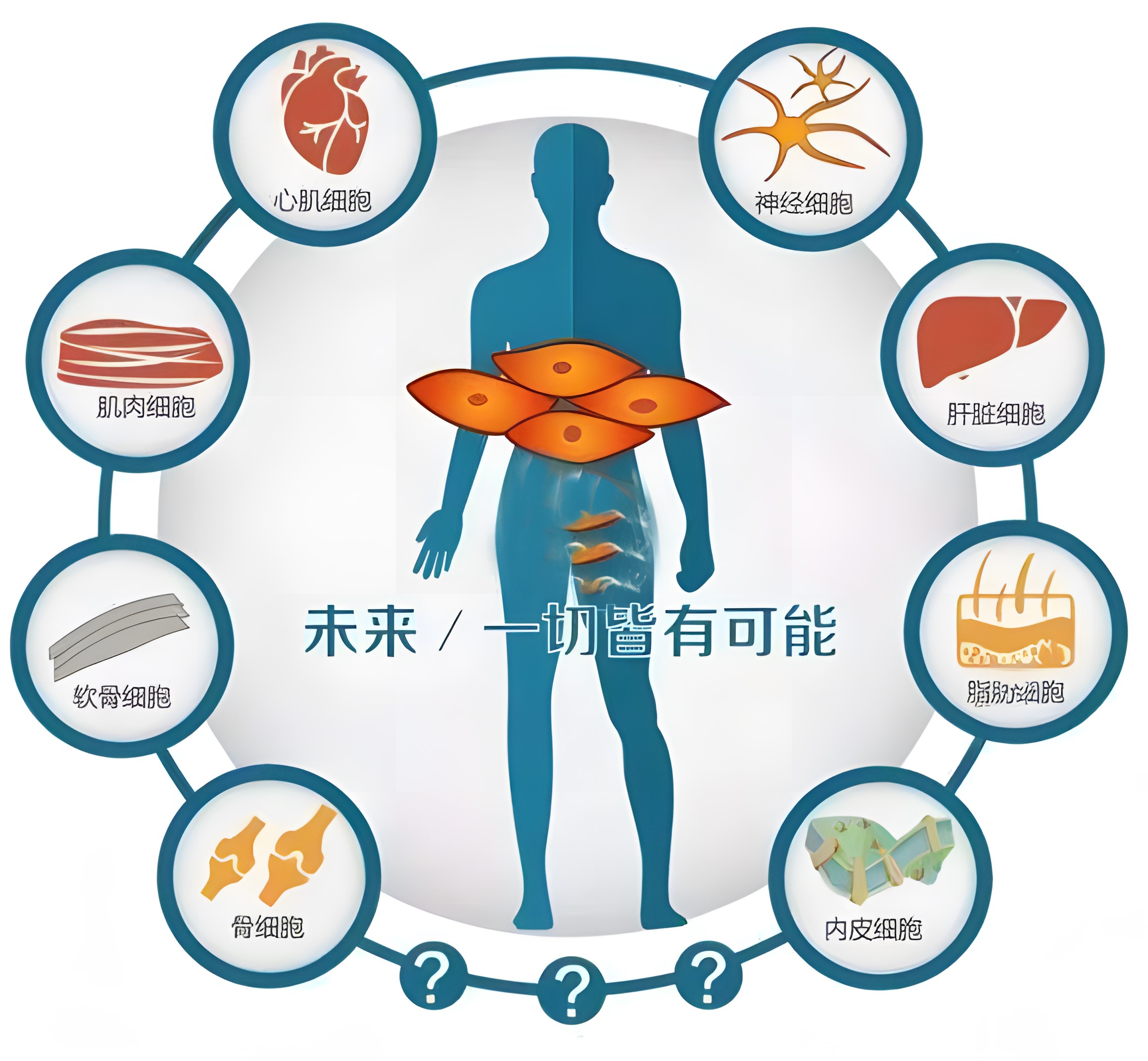 鲜活细胞-优于普通干细胞