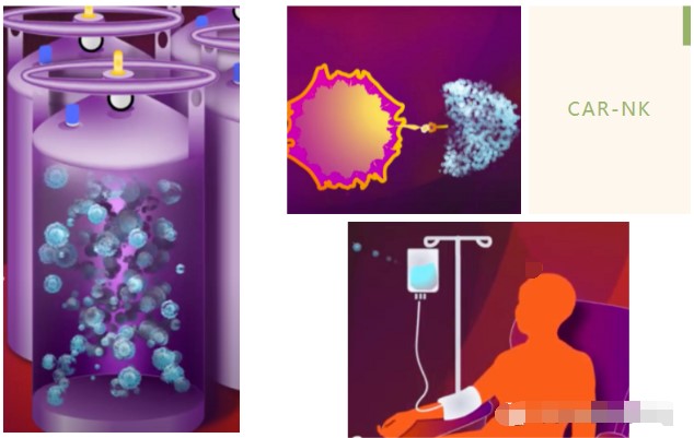 癌症的免疫细胞治疗