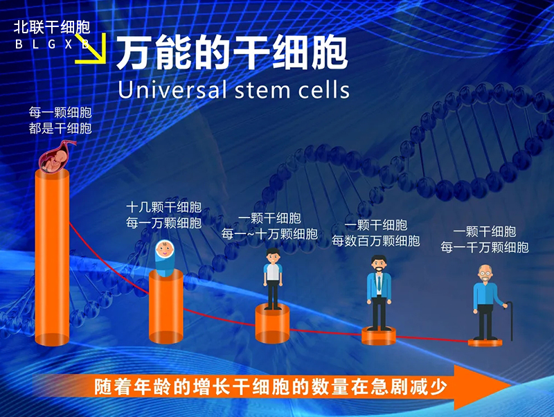 干细胞治疗有效遏制渐冻症的进行性发展