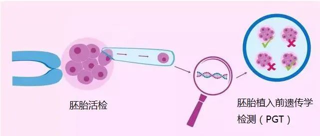 第三代试管费用一般多少？这份南京三代试管费用清单请收好