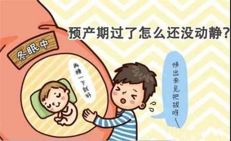 要如何正确推算排卵期、安全期及预产期？