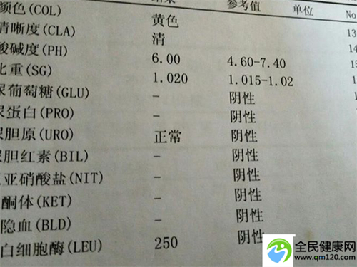 上海正规三代试管医院，上海红房子三代试管婴儿