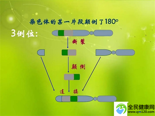 泰国三代试管套餐（泰国第三代试管四胞胎）