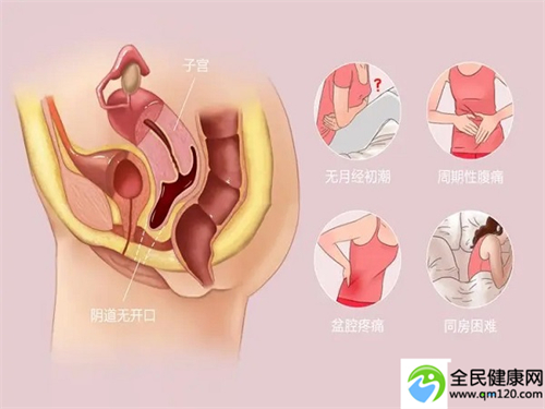 福建三代试管婴儿泰国做试管婴