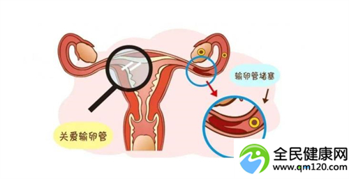 试管子宫内膜如何增厚的