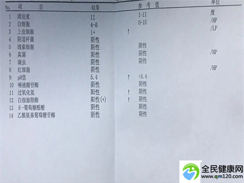 三代试管广州哪个医院好点