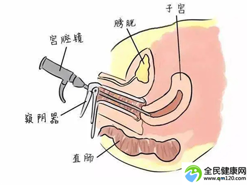 泰国第三代试管医院排名榜前十名