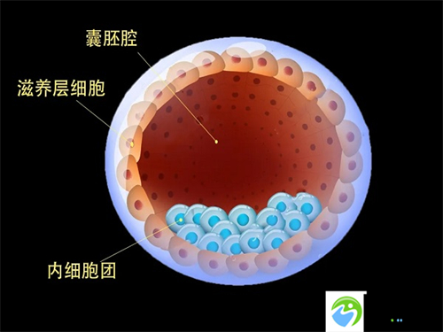 有没有去过深圳固生堂做三代试管