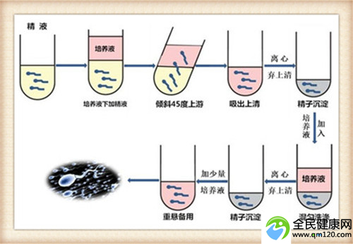 试管国内最早（国内试管周期多久）