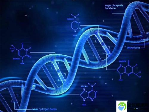 深圳第三代试管费用一般多少