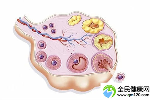 深圳做三代试管成功（深圳市有第三代试管婴儿）