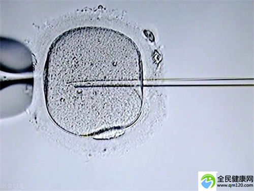 子宫切除可以做试管婴儿吗