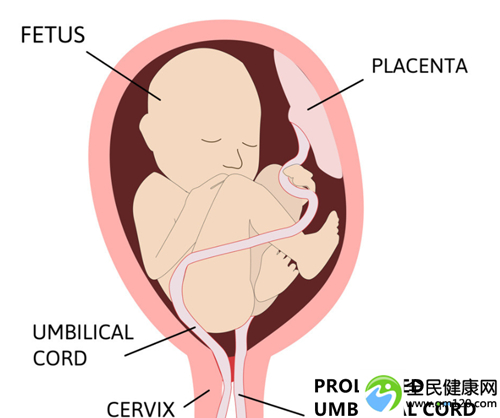 邵逸夫卵巢早衰试管