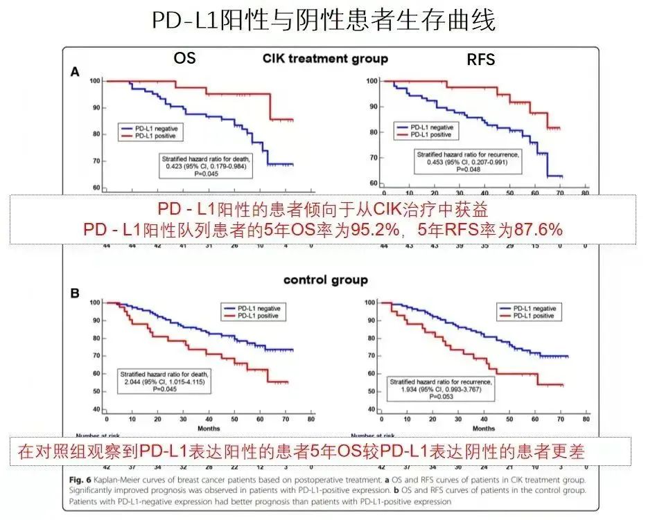 CIK细胞72小时到达肿瘤部位，多项临床研究表明显著提升5年生存率