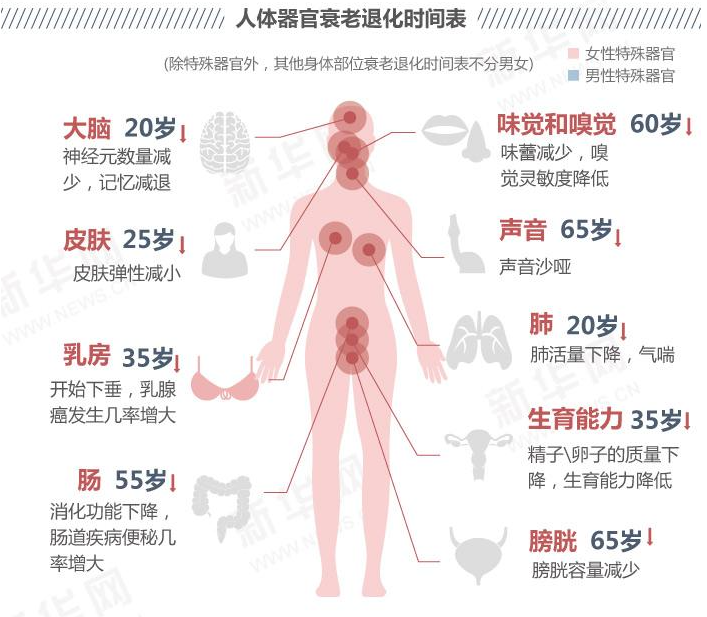 干细胞抗衰老狂潮下，或将再造就一批百岁老人！