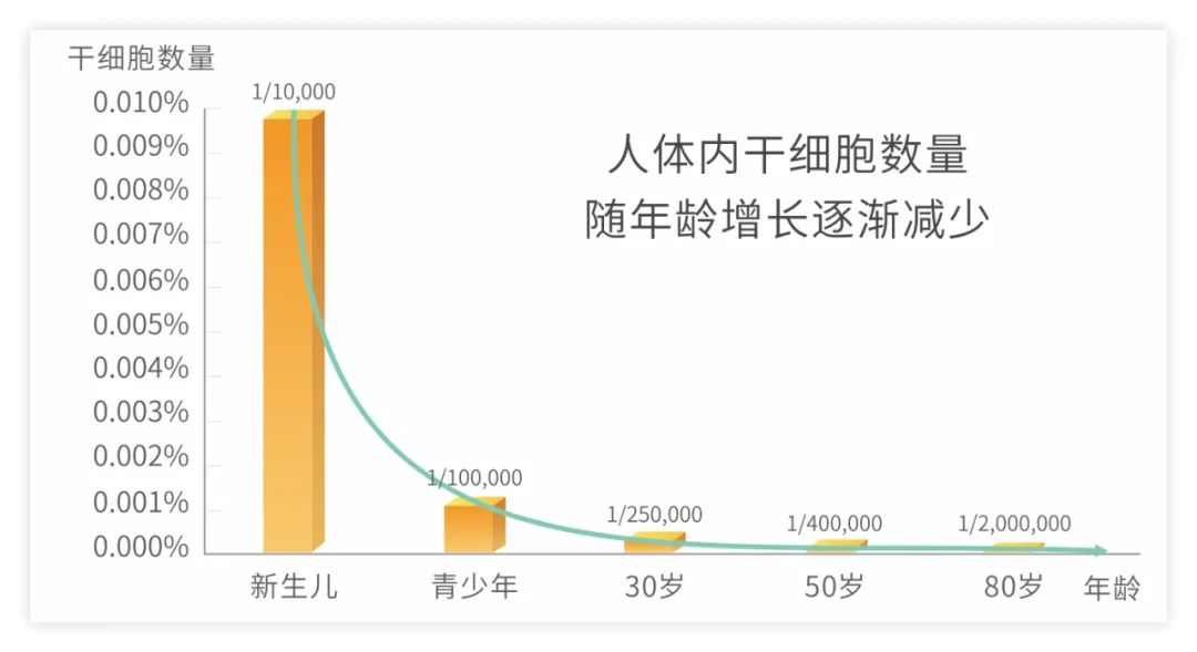 干细胞抗衰老狂潮下，或将再造就一批百岁老人！