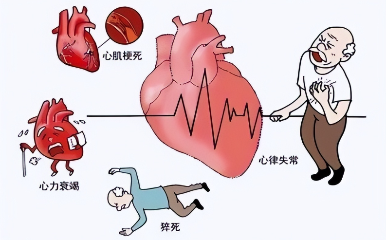 诱导多能干细胞(iPSC)来源的心肌细胞治疗心力衰竭(HF)的和安全性