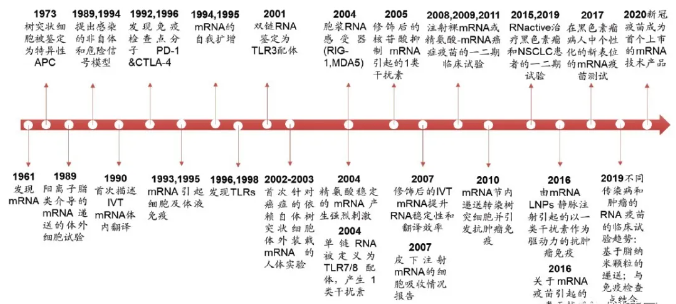 mRNA技术或将成为实体肿瘤综合治疗的核心武器