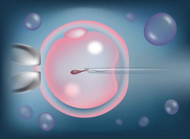 有hpv53可以做试管吗，hpv35阳性可以做试管婴儿吗