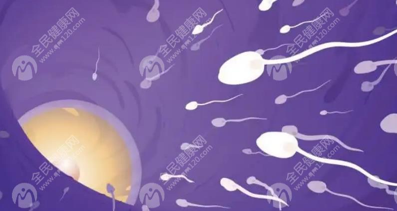囊胚移植第二天有性欲正常吗？