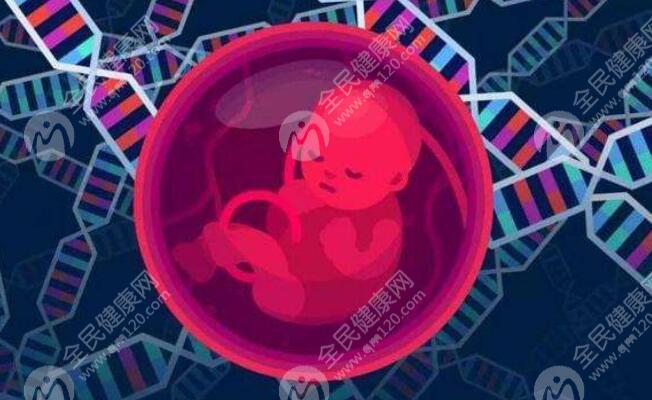 男方无精子能不能做试管？