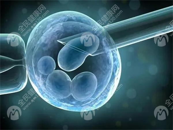 移植冻胚会比移植鲜胚差吗?