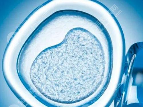 1pn属于什么级别的胚胎？和正常胚胎是不是一样？