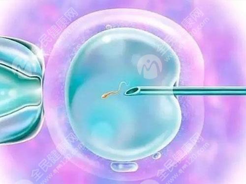 三天6细胞二级胚胎的成功率高不高？