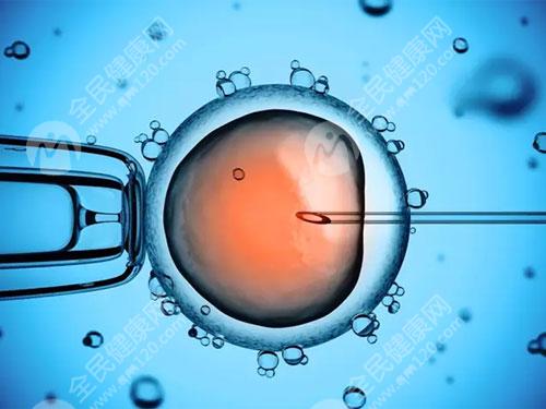胚胎数量少与哪些因素有关