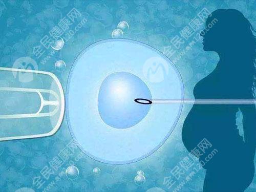 3天6细胞鲜胚质量一般达到几级才能进行移植手术？