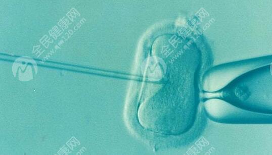 胚胎细胞12影响移植吗？