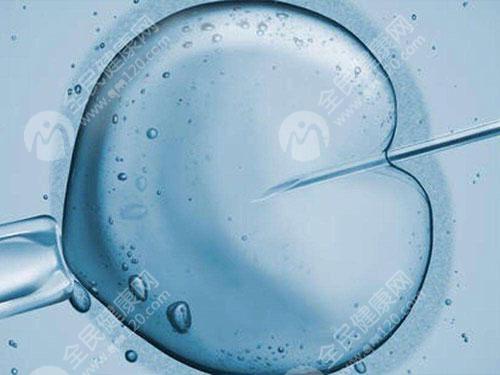 三天4b的胚胎质量怎么样？