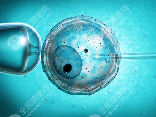 试管短方案只放1个胚胎成功率会很低吗？
