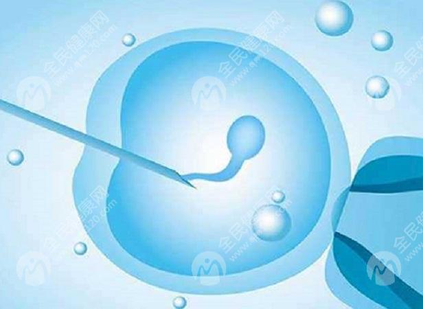 胚胎发育迟缓是怎么回事，孕期预防胚胎发育迟缓
