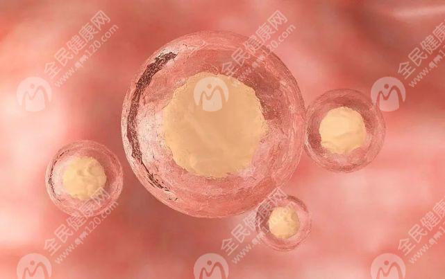 做试管婴儿促排的基础卵泡只有1个有没有可能成功？