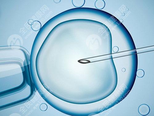 移植胚胎的时候子宫需要达到什么标准？