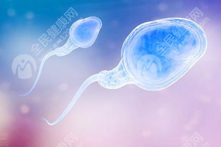 染色体异常引起胎儿畸形的情况