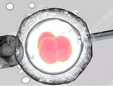 卵泡质量不佳会对胚胎发育有影响吗？