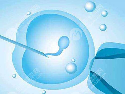 胚胎质量有问题老是发育不好做第三代试管可以解决吗？