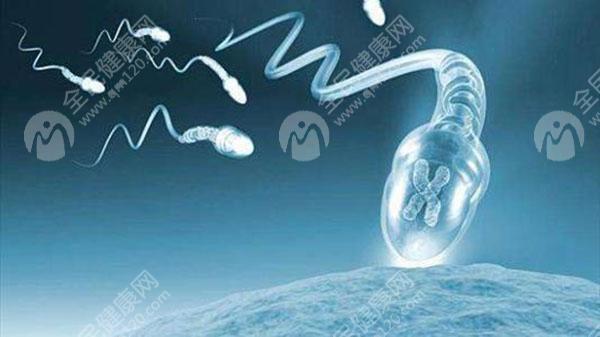 输卵管积水会影响到怀孕的成功率吗？