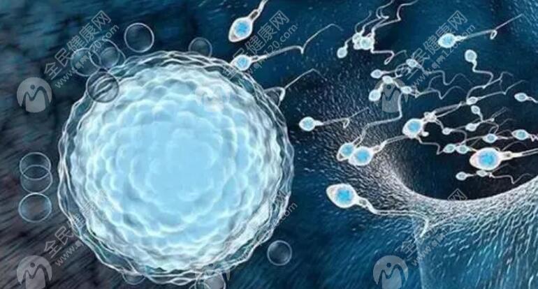 胚胎才配对4个还能移植成功吗？