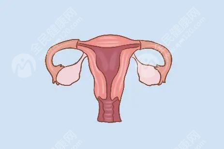 子宫内膜多厚是受孕**状态?
