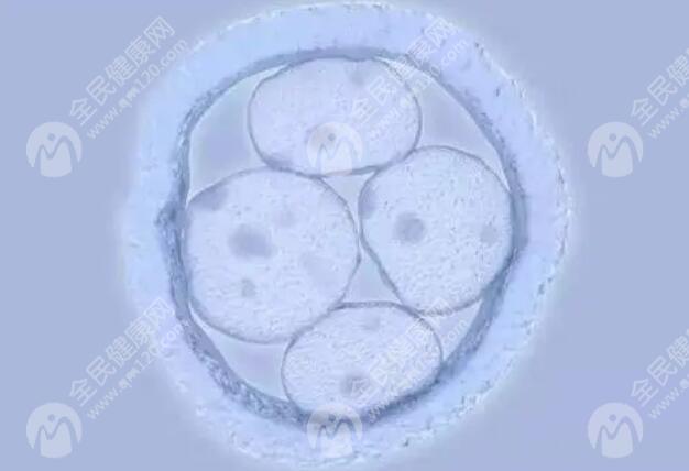 第五天的5bc囊胚比4bc囊胚质量更好一些吗？