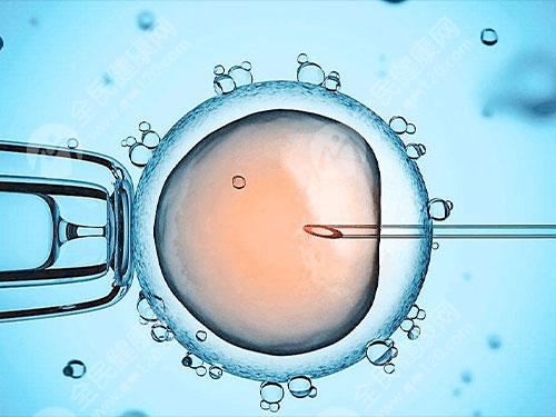 冷冻胚胎移植时间怎么选择？