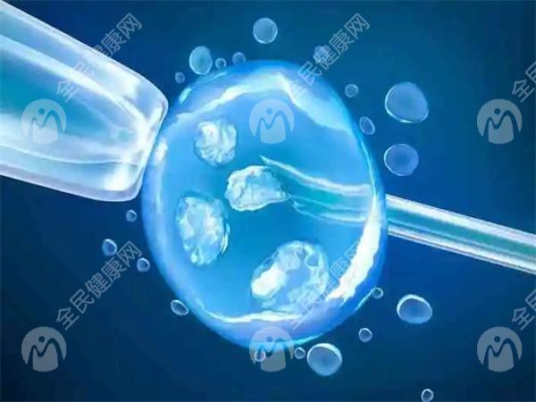试管婴儿胚胎移植费用发布，移植流程总共有这几步！