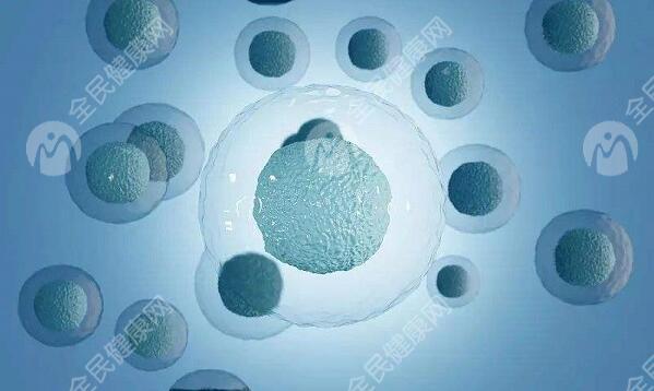 赣州地区有哪些私立的机构可以做试管技术?30岁做三代试管移植一个4Ab胚胎成功率大不大？