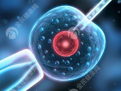 心态对试管三级胚胎移植的影响有哪些？移植的步骤有哪些？